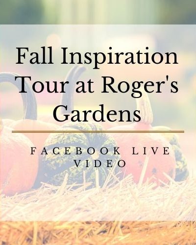 Fall Inspiration Tour